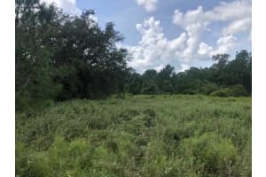 0 Old Grade Road, Polk City, FL 33868 - MLS#F10539466