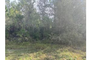 0 Old Grade Road, Polk City, FL 33868 - MLS#F10539480