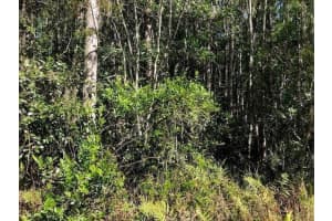 0 Old Grade Road, Polk City, FL 33868 - MLS#F10539480