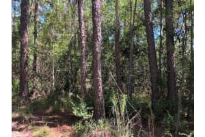 0 Old Grade Road, Polk City, FL 33868 - MLS#F10539487