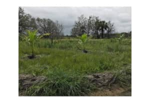 16120 300th Street, Okeechobee, FL 34972 - MLS#F10540689