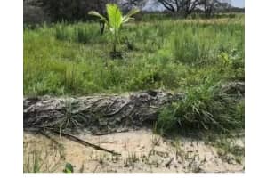 16120 300th Street, Okeechobee, FL 34972 - MLS#F10540689