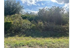 14938 254th Street, Okeechobee, FL 34972 - MLS#F10541131
