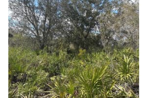 0 300th Street, Okeechobee, FL 34972 - MLS#F10541729