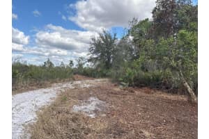 0 302nd Street, Okeechobee, FL 34972 - MLS#F10541738