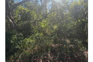 0 157th Street, Umatilla, FL 32784 - MLS#F10542118