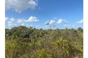 15463 256th Street, Okeechobee, FL 34972 - MLS#F10542238