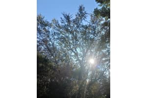 0000 WINDINGHILL RD, Ocala, FL 34471 - MLS#F10542525