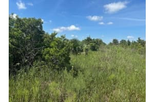 0 310th Street, Okeechobee, FL 34972 - MLS#F10542852