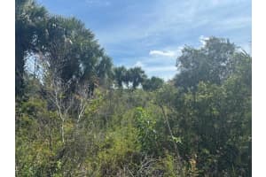 0 310th Street, Okeechobee, FL 34972 - MLS#F10542857