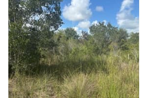 0 316th Street, Okeechobee, FL 34972 - MLS#F10542877