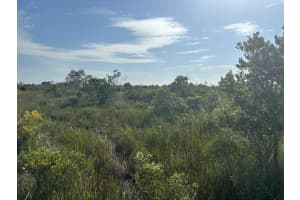 0 318th Street, Okeechobee, FL 34972 - MLS#F10542959