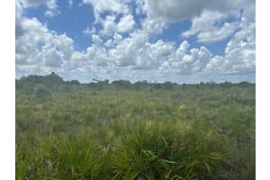 0 313th Street, Okeechobee, FL 34972 - MLS#F10542966