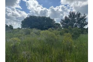 0 NW 316th St, Okeechobee, FL 34972 - MLS#F10543014