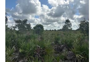 0 NW 316th St, Okeechobee, FL 34972 - MLS#F10543018