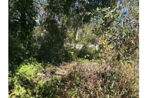 0 Maple Hill Ct, Lakeland, FL 33811 - MLS#F10543193