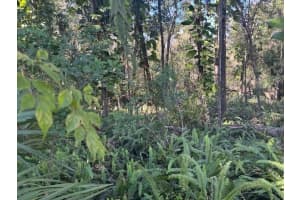 0 Maple Hill Ct, Lakeland, FL 33811 - MLS#F10543193