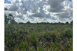 0 NW 314th St, Okeechobee, FL 34972 - MLS#F10543208