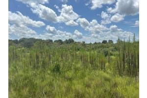 0 NW 314th St, Okeechobee, FL 34972 - MLS#F10543219