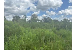 0 Nw 312th St, Okeechobee, FL 34972 - MLS#F10543241