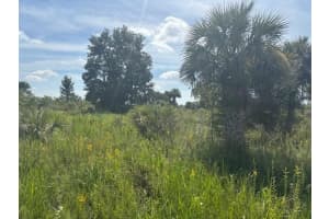 0 310th Street, Okeechobee, FL 34972 - MLS#F10543262