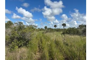 0 310th Street, Okeechobee, FL 34972 - MLS#F10543571