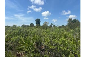 0 310th Street, Okeechobee, FL 34972 - MLS#F10543603