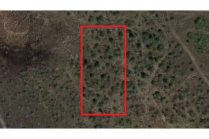 0 310th Street, Okeechobee, FL 34972 - MLS#F10543617