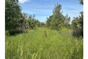 0 310th Street, Okeechobee, FL 34972 - MLS#F10543630