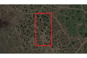 0 310th Street, Okeechobee, FL 34972 - MLS#F10543630