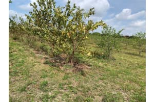 149XX 149xx 224 Street, Miami, FL 33170 - MLS#F10544400