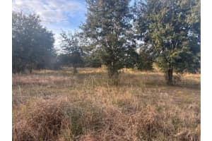 20745 302nd Street, Okeechobee, FL 34972 - MLS#F10544488