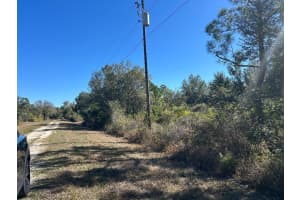 28141 SE Monte Cristo, Punta Gorda, FL 33955, Punta Gorda, FL 33955 - MLS#F10545272