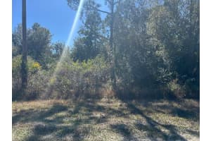 28141 SE Monte Cristo, Punta Gorda, FL 33955, Punta Gorda, FL 33955 - MLS#F10545272