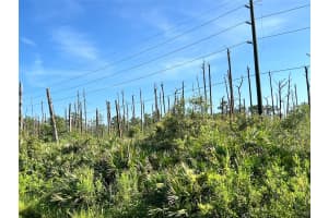 34964 N Hwy 441, Okeechobee, FL 34972, Okeechobee, FL 34972 - MLS#F10545965