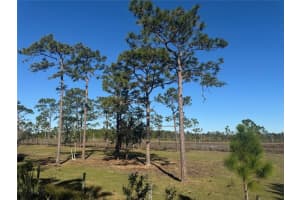 TBD Tbd Us-441, Okeechobee, FL 34972, Okeechobee, FL 34972 - MLS#F10548958