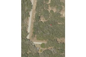 0 Undetermined, FL 34431, Dunnellon, FL 34431 - MLS#F10548989
