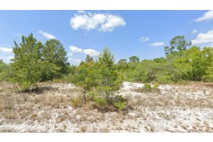 105 Vera Lane, Lake Placid, FL 33852 - MLS#F10549675