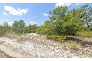 105 Vera Lane, Lake Placid, FL 33852 - MLS#F10549675