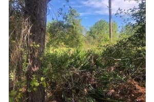 0 Old Grade Road, Polk City, FL 33868 - MLS#F10550297