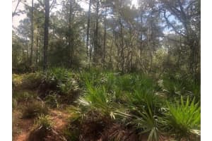 0 Old Grade Road, Polk City, FL 33868 - MLS#F10550306