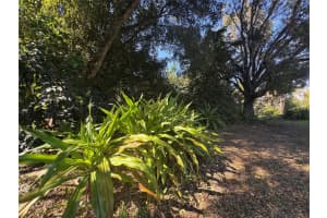 5911 Sw 196th Lane, Southwest Ranches, Fl 33332, Southwest Ranches