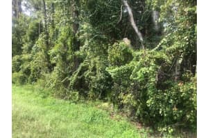 0 State Rd 33, Clermont, FL 34711, Clermont, FL 34711 - MLS#F10550752
