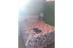 6031 7th Avenue, Oakland Park, FL 33334 - MLS#F10551318