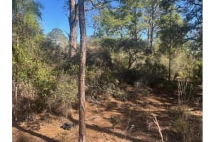 221 Rainbow Drive, Lake Placid, FL 33852 - MLS#F10551362