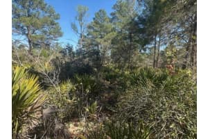 10681 Interlacher Drive, Sebring, FL 33852 - MLS#F10551375