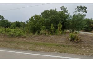 1007 10th Street, Lehigh Acres, FL 33972 - MLS#F10551677