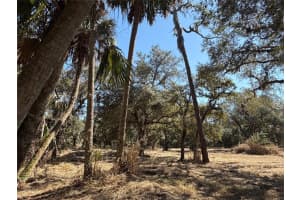 TBD Tbd 40th Avenue, Okeechobee, FL 34974 - MLS#F10552265