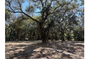 TBD Tbd 40th Avenue, Okeechobee, FL 34974 - MLS#F10552265