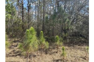 0 Old Grade Road, Polk City, FL 33868 - MLS#F10554424